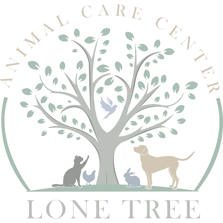 Lone Tree Animal Care Center Fav Icon