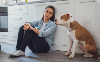 Discomfort vs. Distress: How to Know When Your Pet Needs Emergency Care