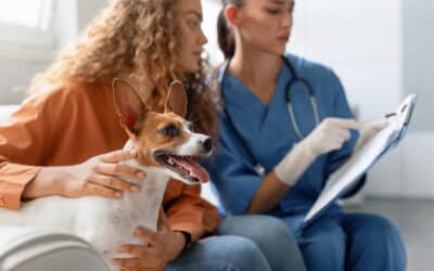 The System of the Animal